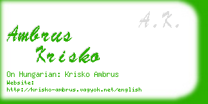 ambrus krisko business card